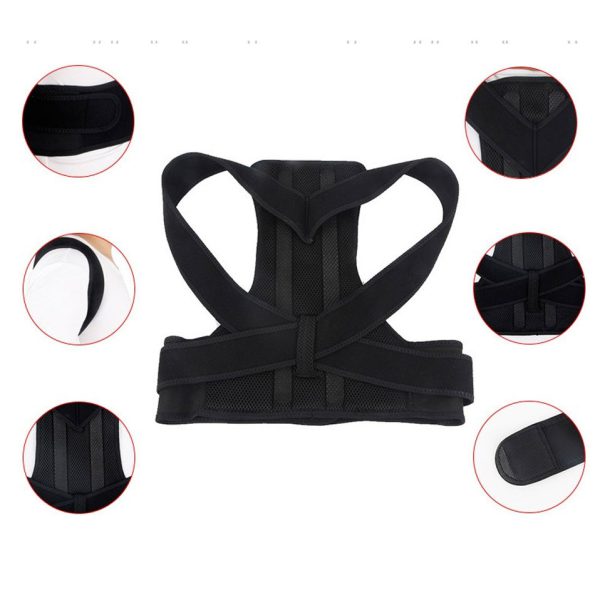 Back Posturm Spine Support Belt