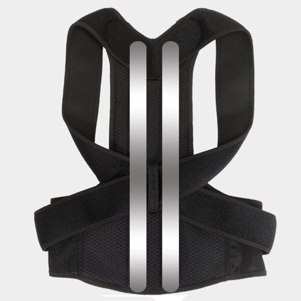 Back Posturm Spine Support Belt